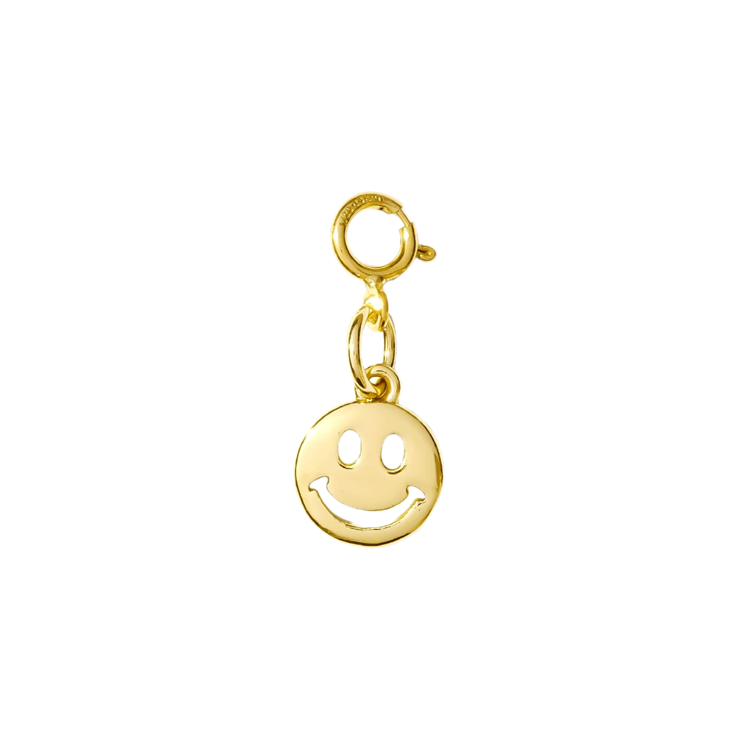 Hair Clip Charm