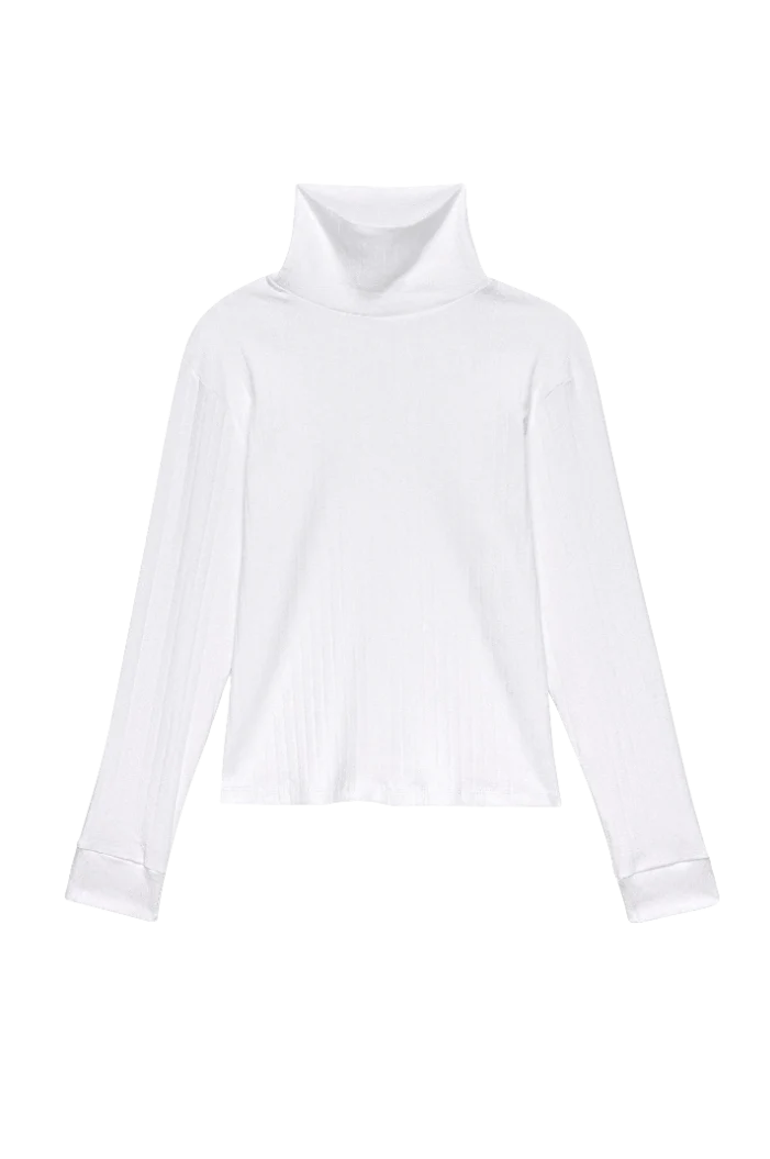 Pointelle Turtleneck | Multiple Colors