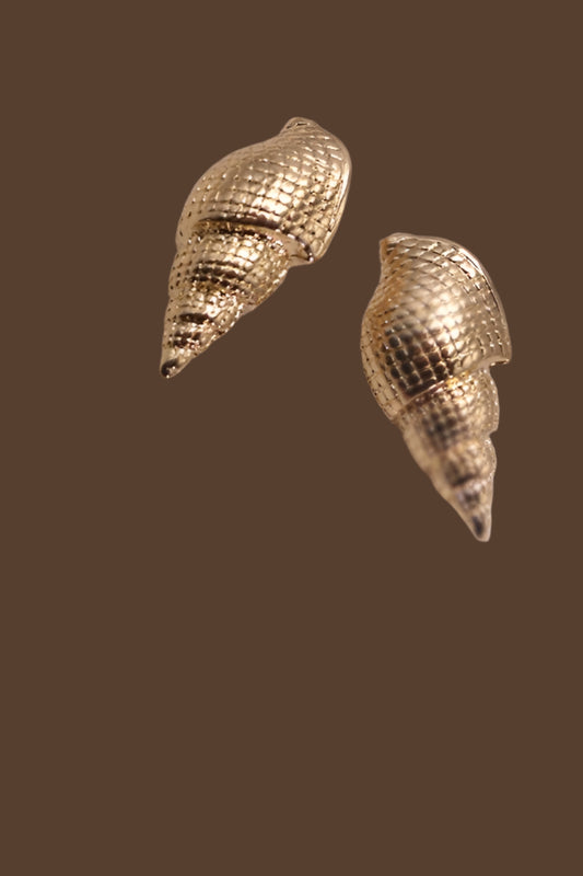 Conch Shell Studs