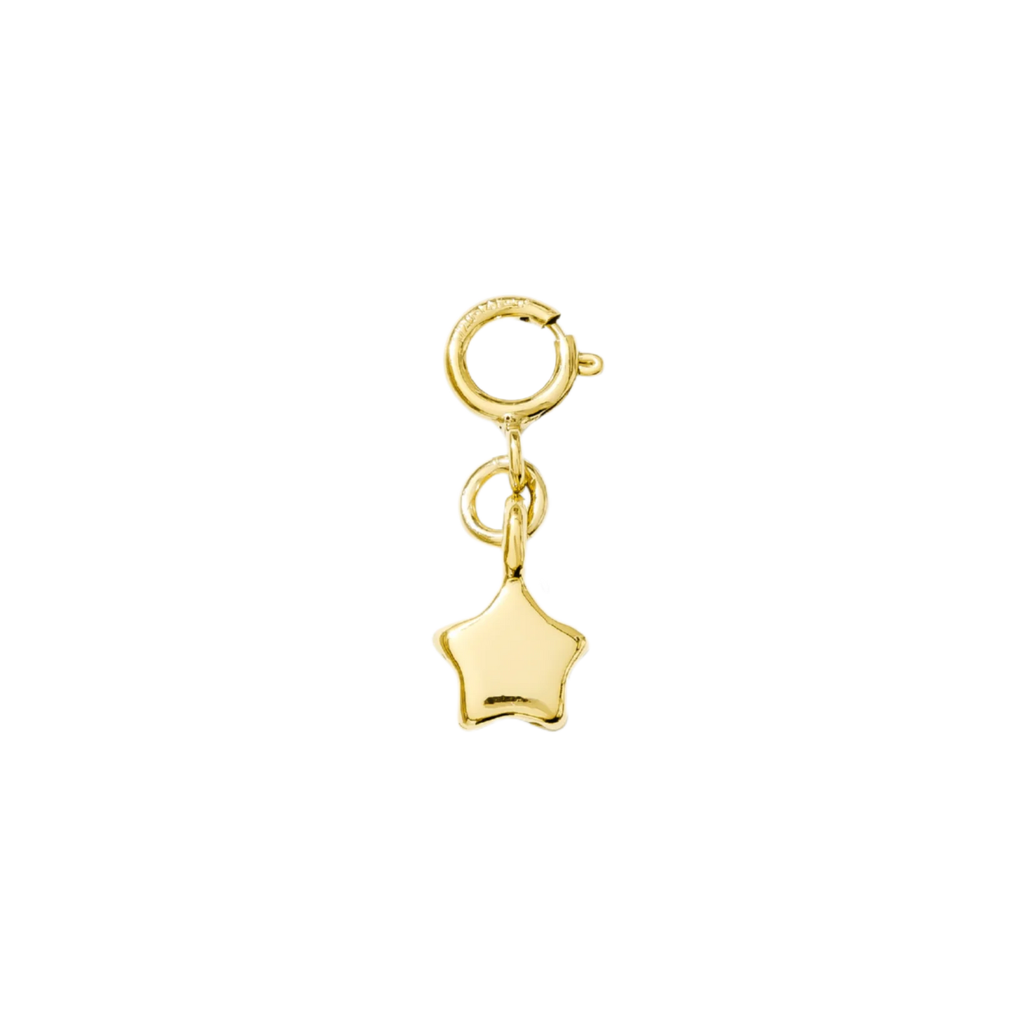 Hair Clip Charm