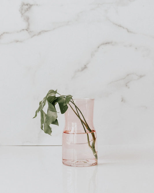Glass Propagation Vase | Multiple Colors