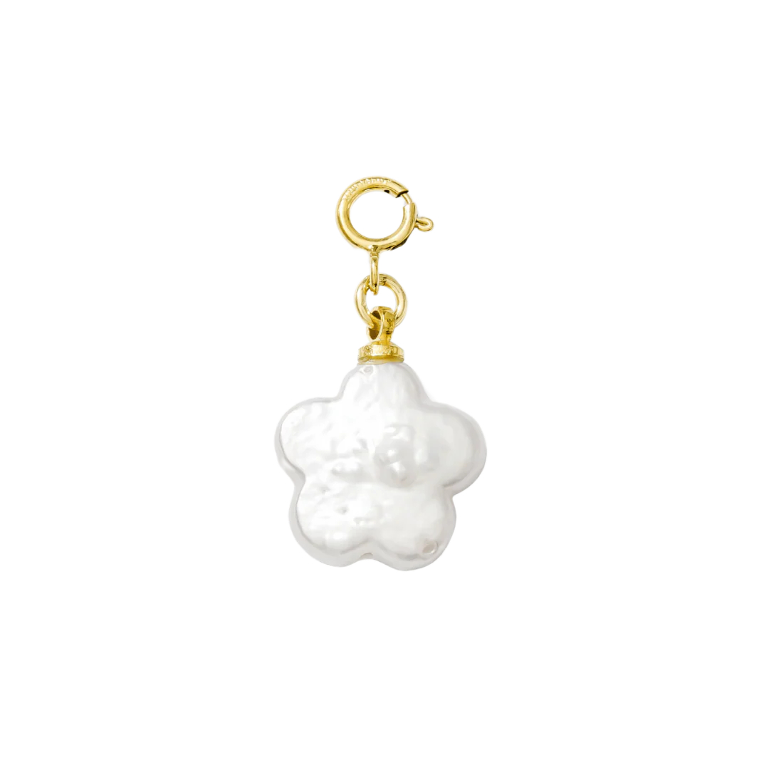 Hair Clip Charm