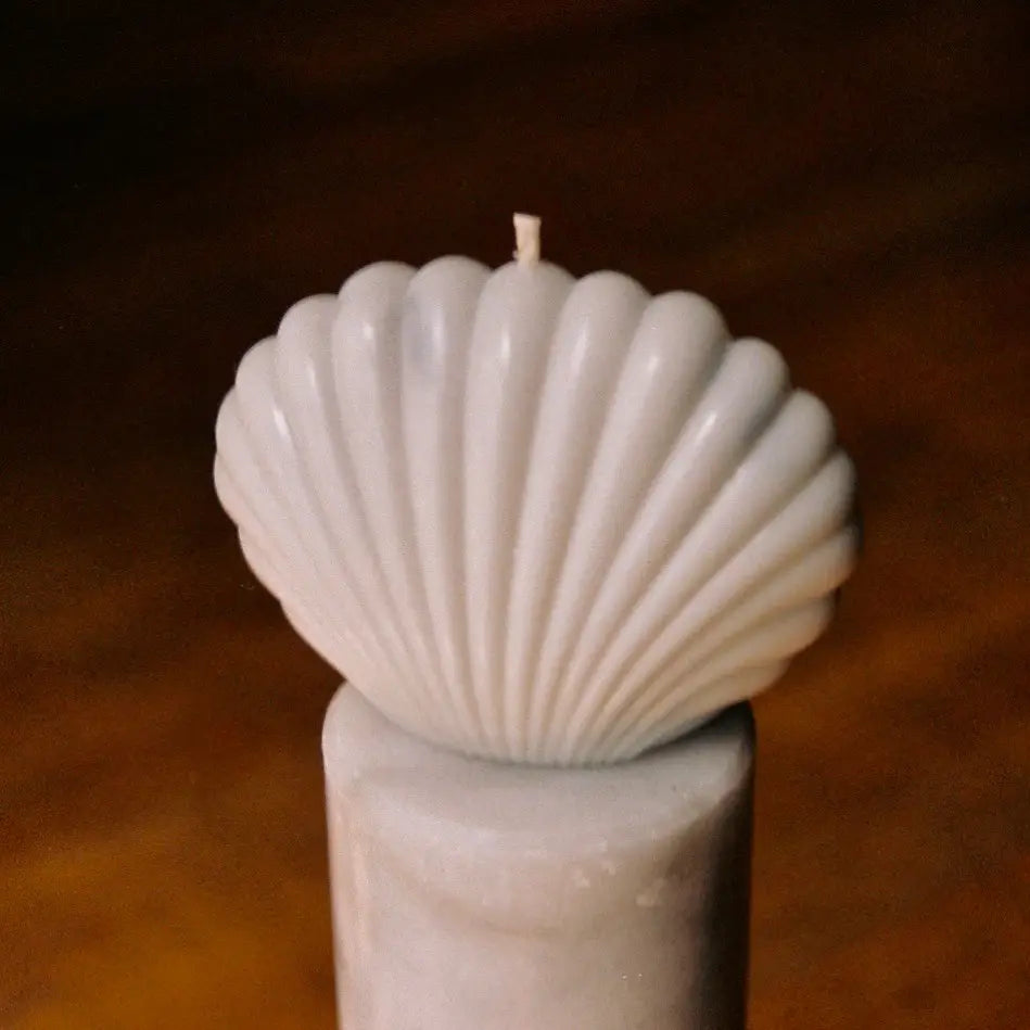 Shell Candle | Multiple Colors