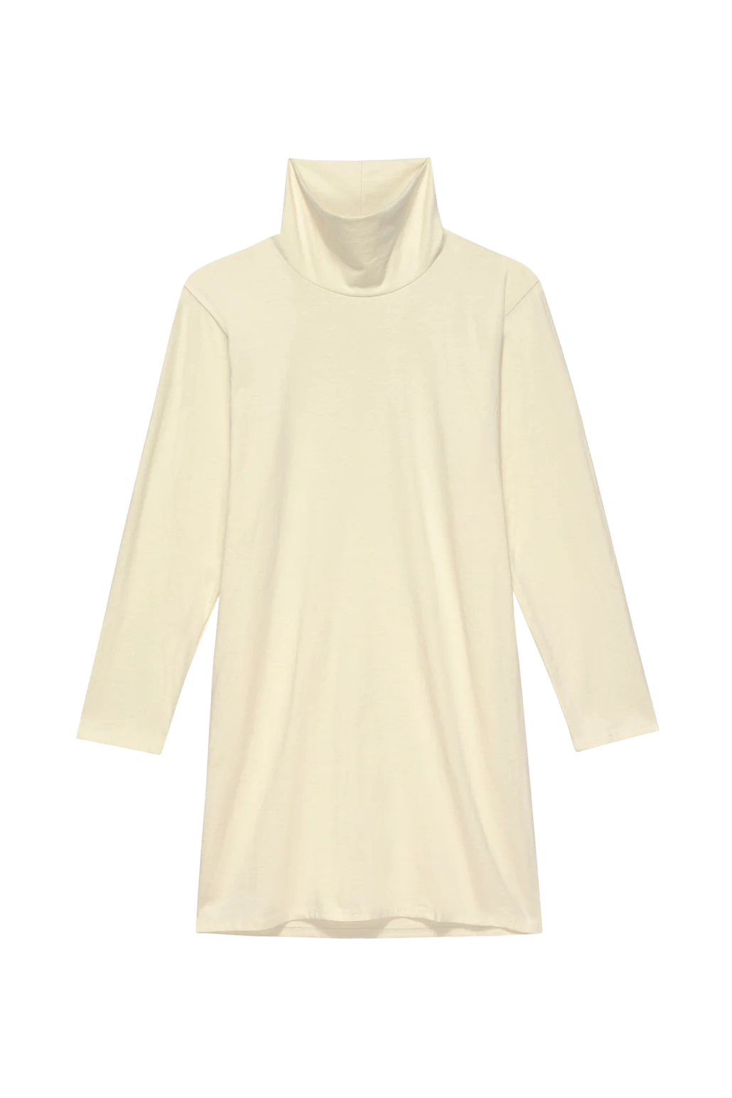 Joni Turtleneck Dress