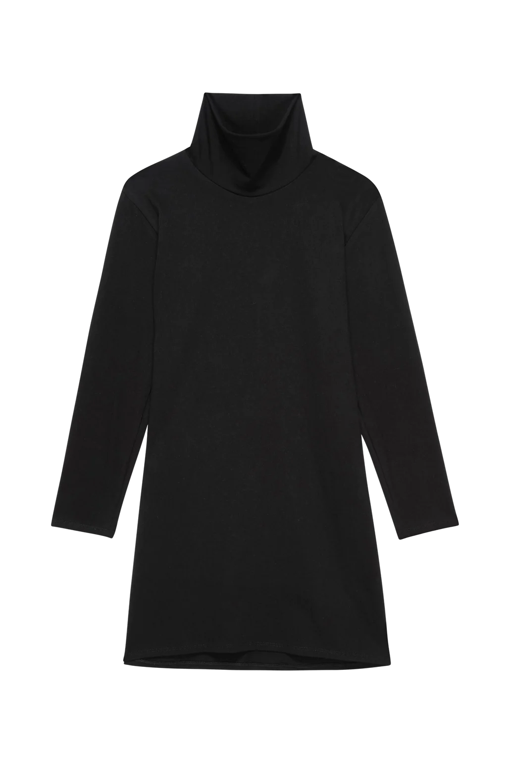 Joni Turtleneck Dress
