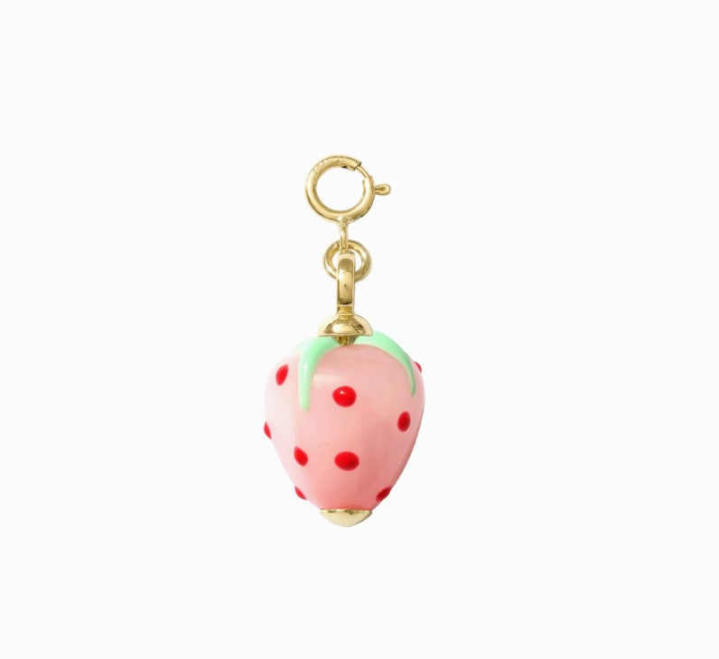 Hair Clip Charm