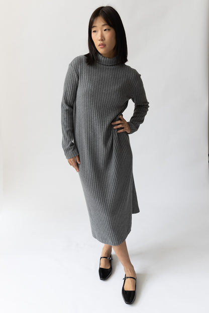 Rib turtleneck dress