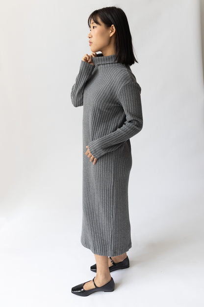 Rib turtleneck dress