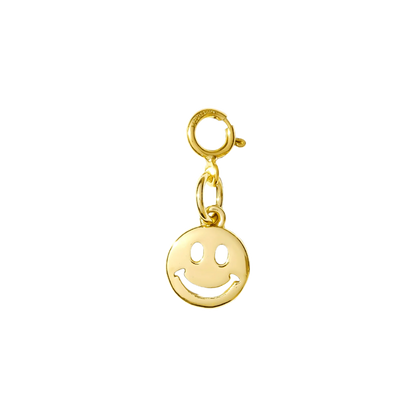 Hair Clip Charm
