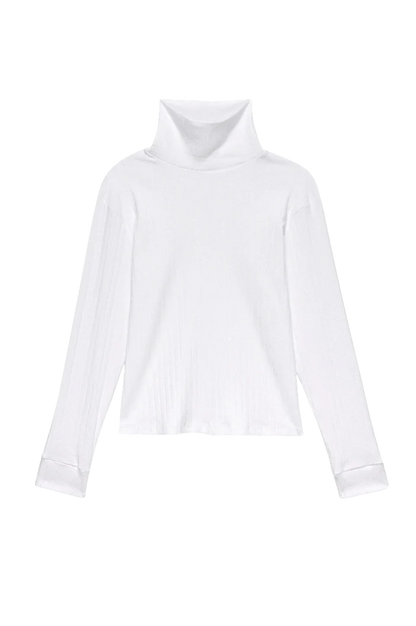 Pointelle Turtleneck | Multiple Colors