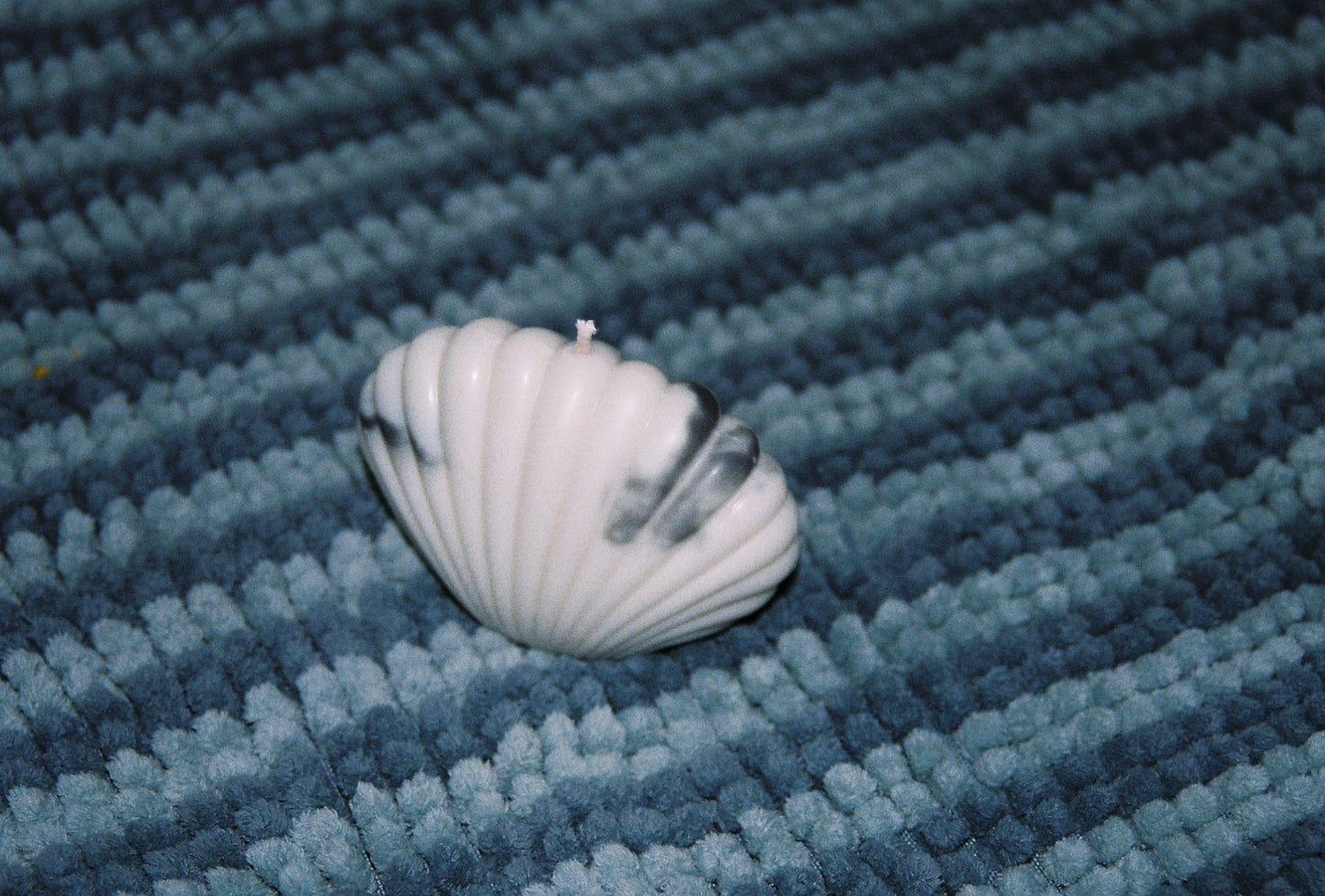 Shell Candle | Multiple Colors