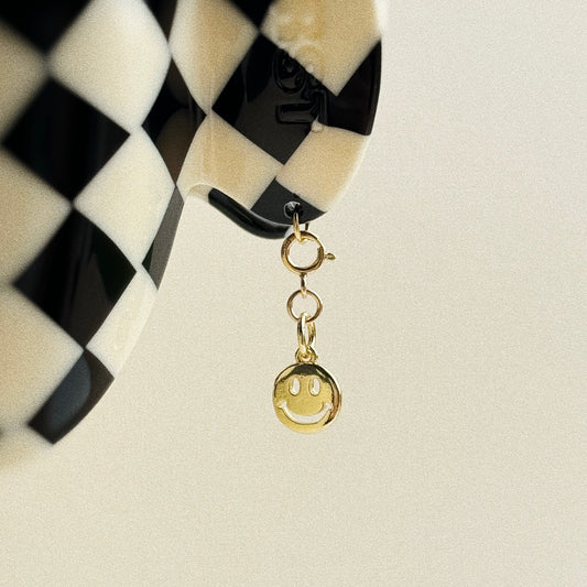 Hair Clip Charm