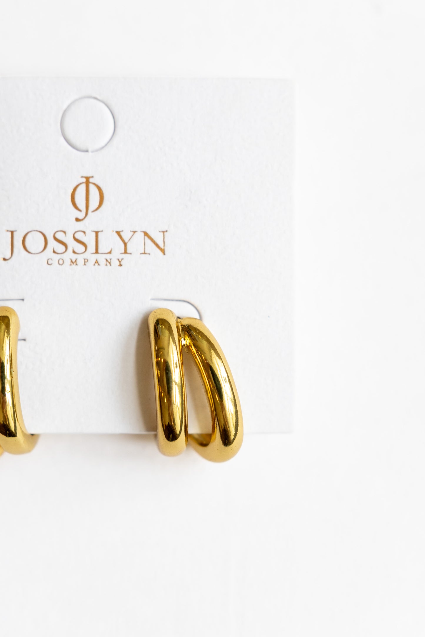 Double Hoop Earrings