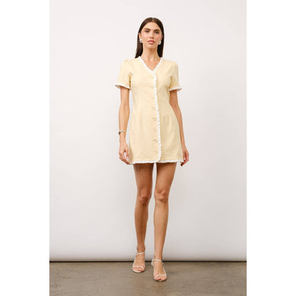 Aimee Mini Dress