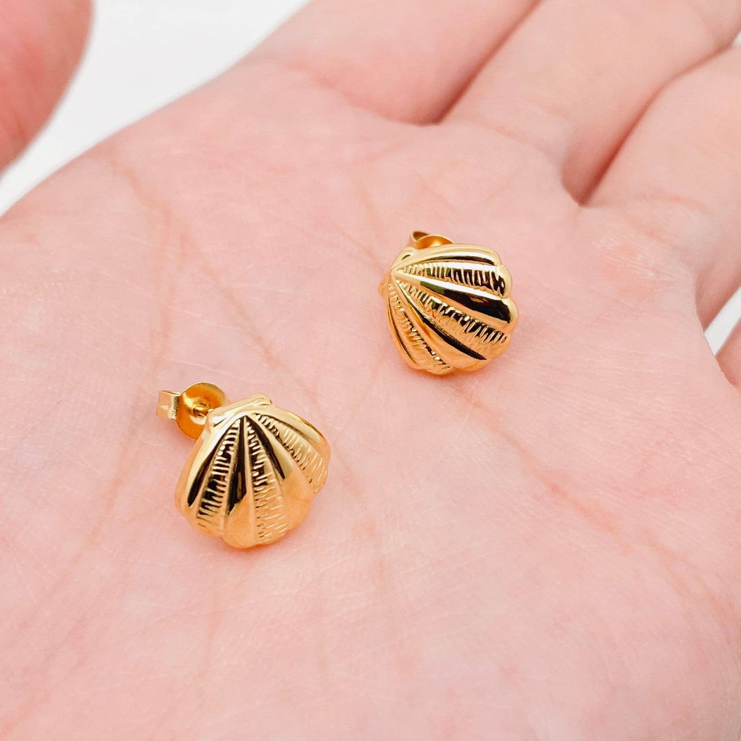 Sea Shell Earrings