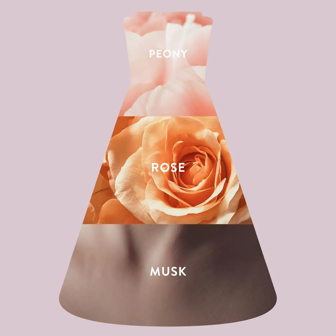 Jasmine Rose Solid Perfume